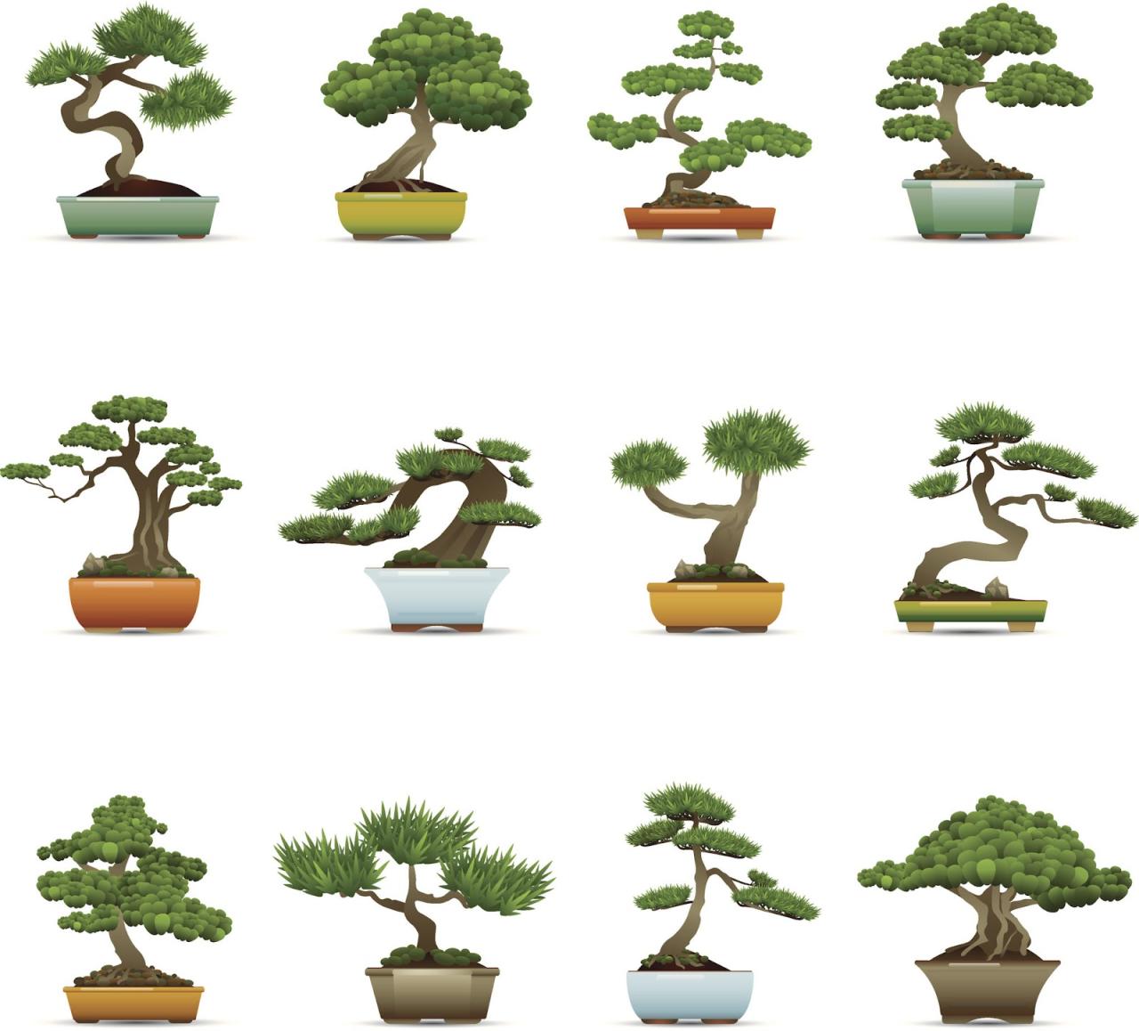 The Complete Guide to Bonsai Pot Design and Function